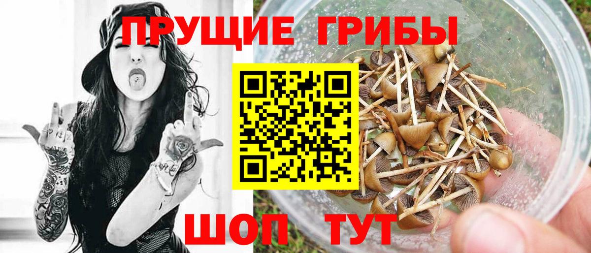 Галлюциногенные грибы Magic Shrooms  Вход с VPN  Электросталь 