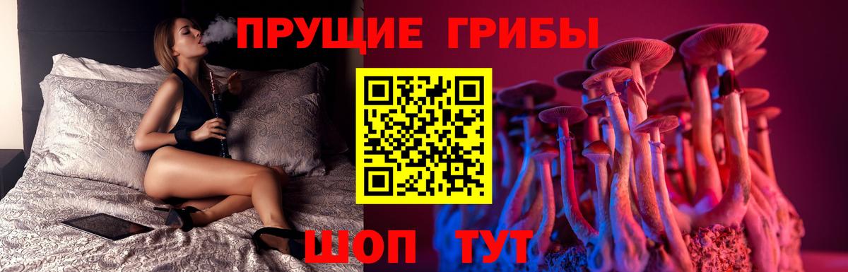 Псилоцибиновые грибы MAGIC MUSHROOMS Электросталь